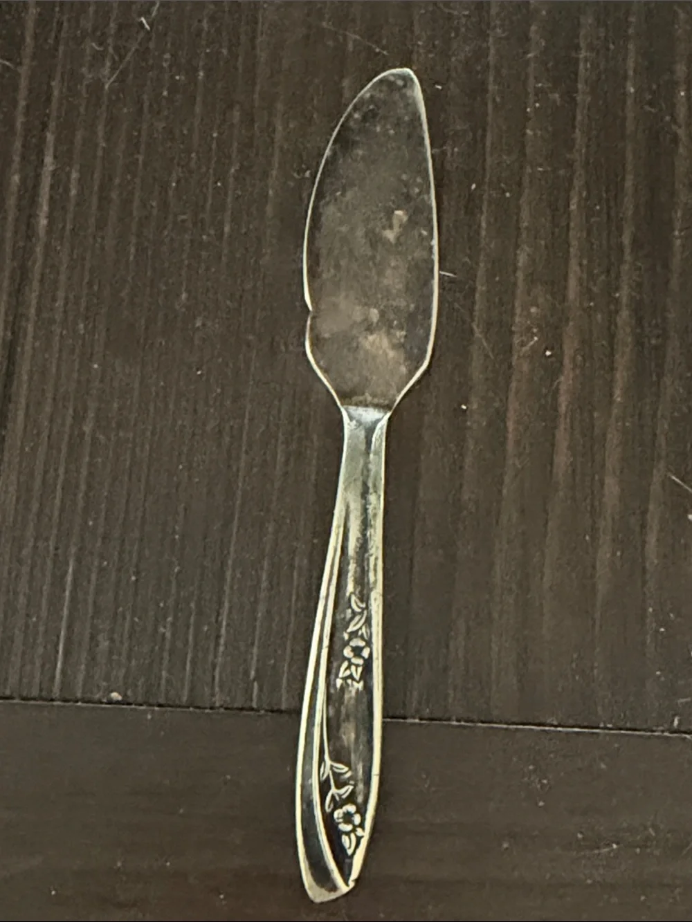 Lady fair rogers bros 1957 cheese spreader